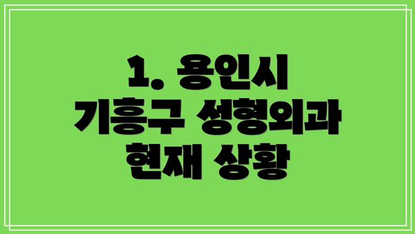 1. 용인시 기흥구 성형외과 현재 상황