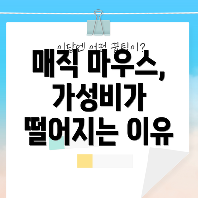 매직 마우스, 가성비가 떨어지는 이유