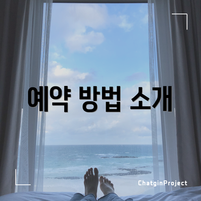 예약 방법 소개