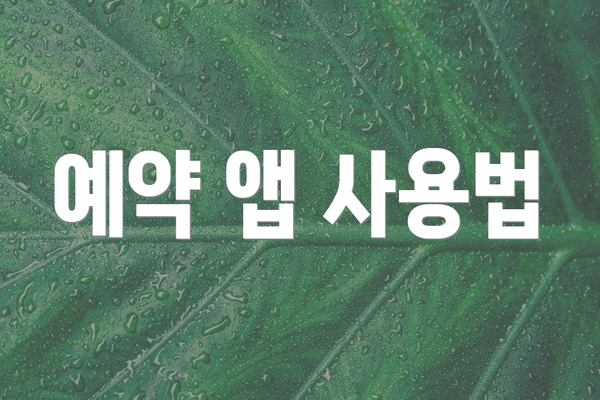 예약 앱 사용법