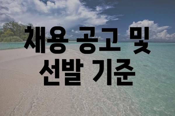 채용 공고 및 선발 기준