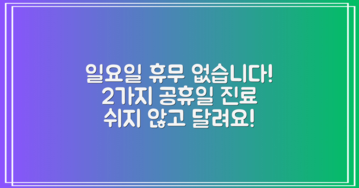 2가지 일요일 공휴일 진료